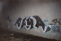 paya_bronx_1993x.jpg